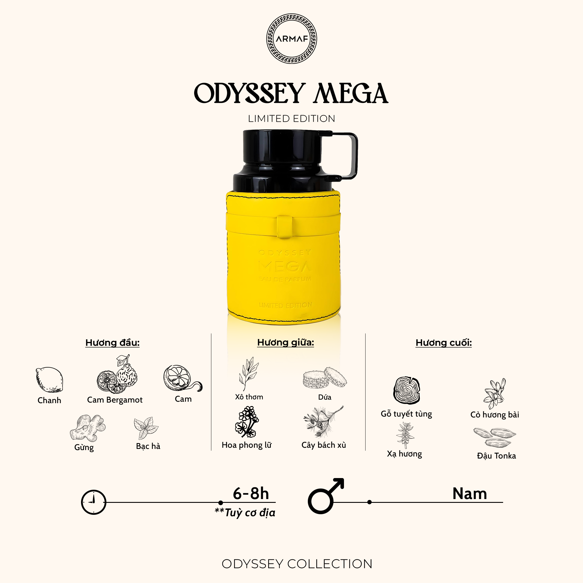 mega_80a721e8a53849adaa361c75c0e31dd8